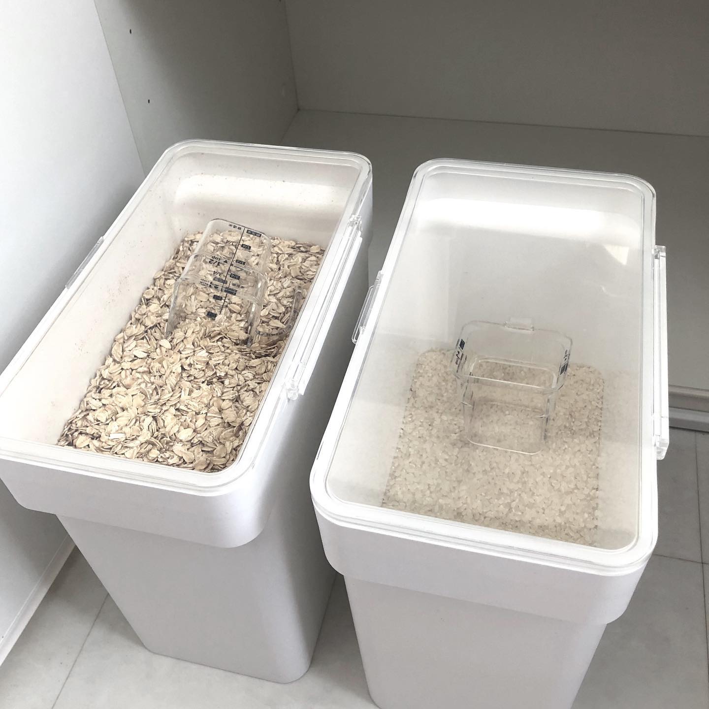 大型タッパーウェア　持ち手付き　米びつ 大型タッパーウェア 持ち手付き 米びつ