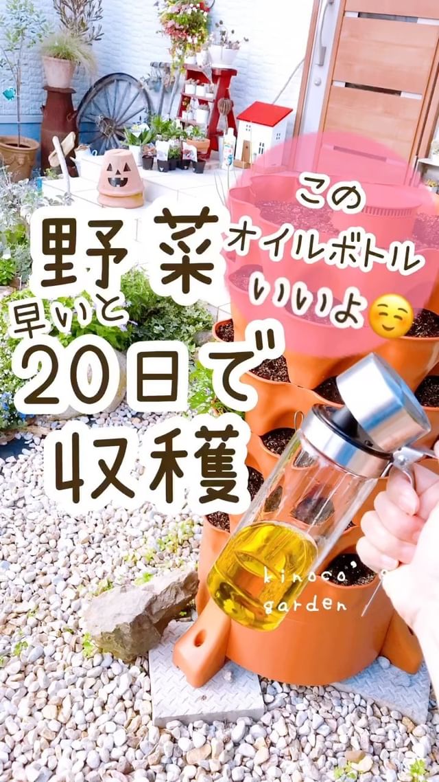 DULTON】オイル&ヴィネガーボトル 350ml 2個セット｜まとめ買い
