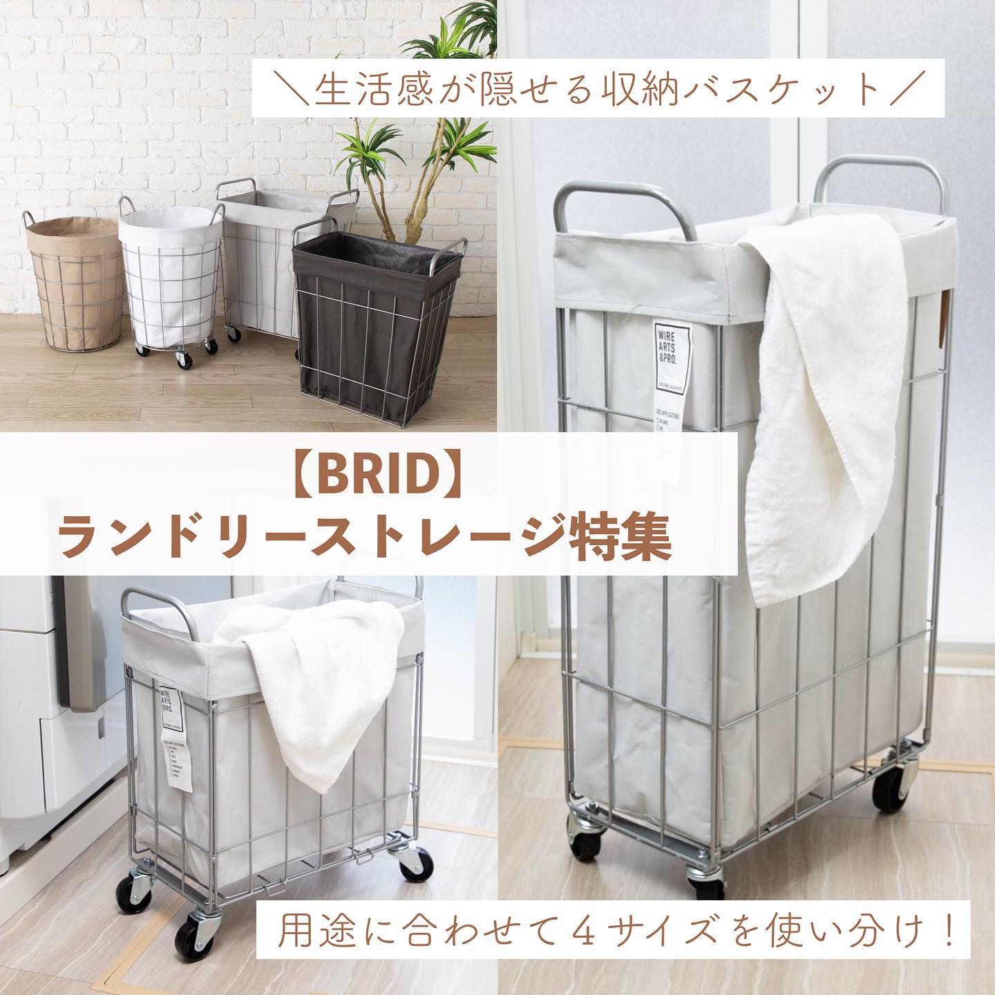 LAUNDRY - ランドリー 2_000000049944.jpg?1703651632
