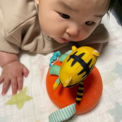 0～5カ月のお子さまへ｜0歳からの知育 こどもちゃれんじbaby
