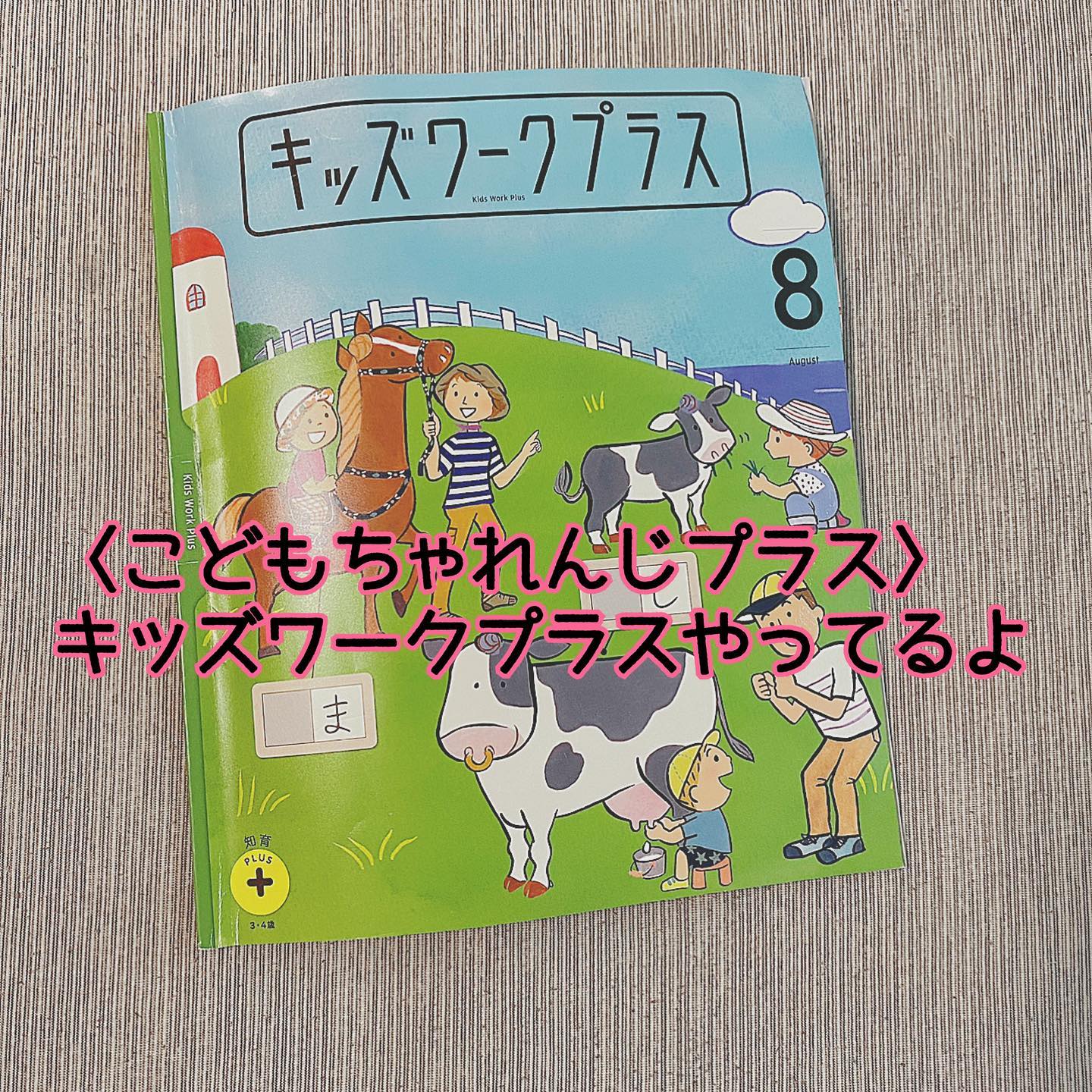 こどもちゃれんじ すてっぷ☆キッズワークプラス 10冊 - メルカリ