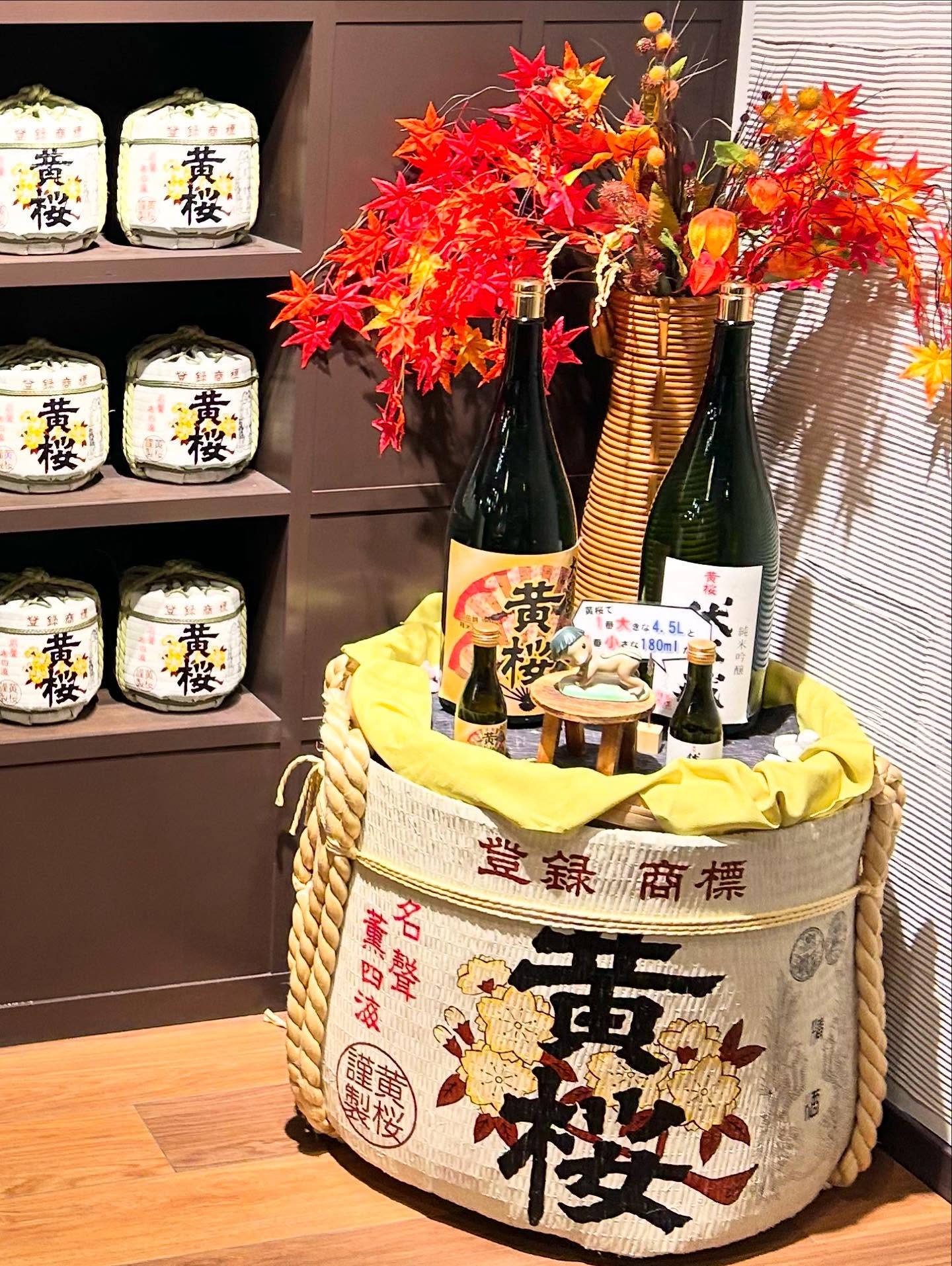 そうだ 黄桜 伏水蔵 行こう。2025｜RSL｜サンプル百貨店
